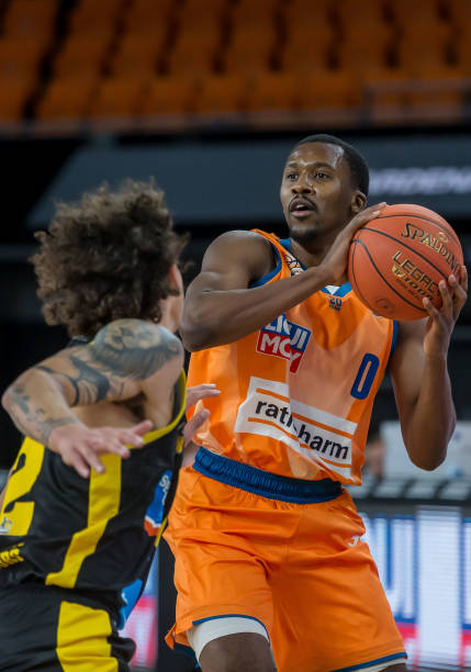 坡国内羽毛 坡国内羽毛